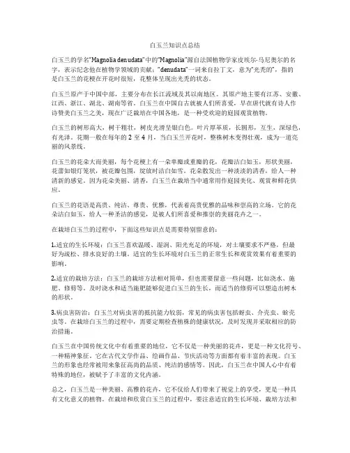 白玉兰知识点总结