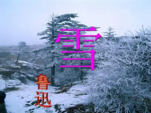 鲁迅《雪》(共20张PPT)