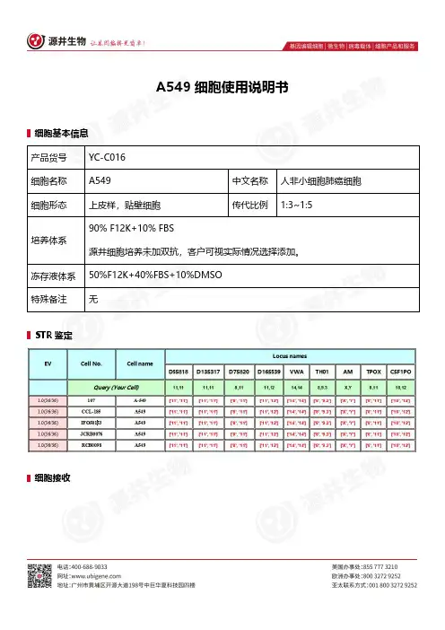 A549细胞使用说明书