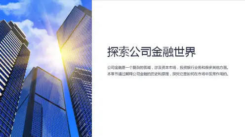 公司金融第一章朱叶第二版
