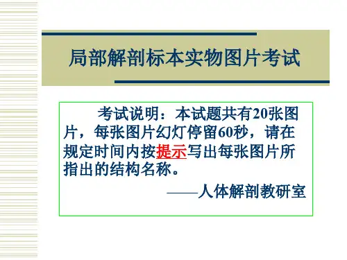 局解实验课件