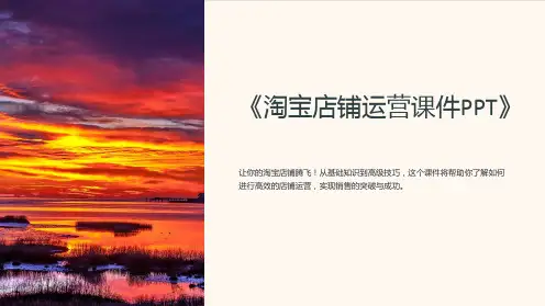 《淘宝店铺运营课件PPT》