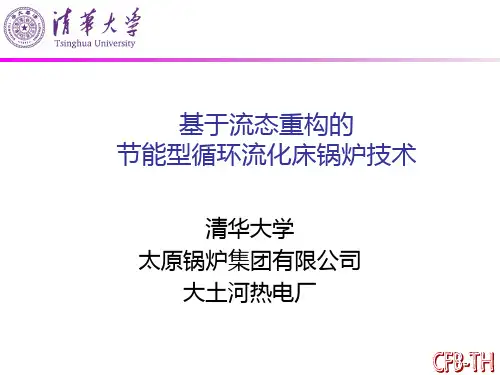 基于流态重构的节能型循环流化床锅炉技术(岳光溪)