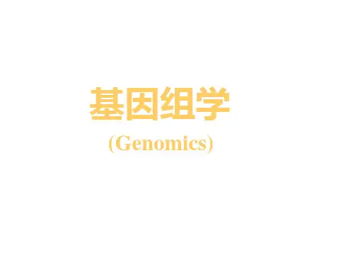 基因组学概论PPT课件