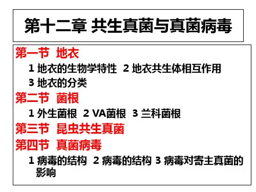 第十二章共生真菌ppt课件