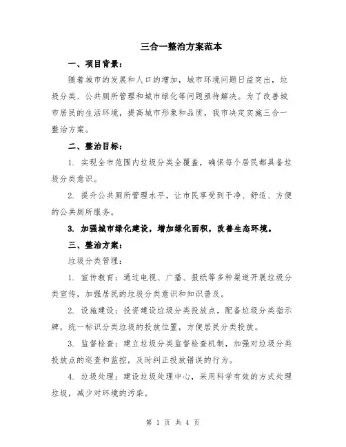 三合一整治方案范本
