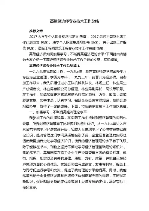 高级经济师专业技术工作总结