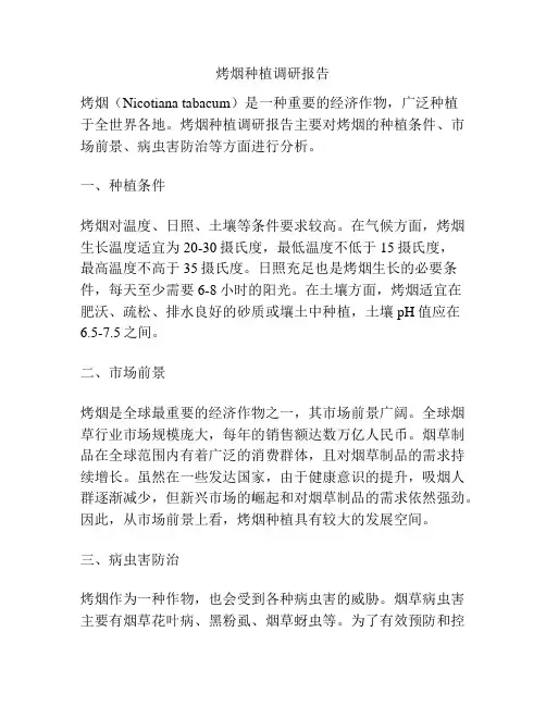 烤烟种植调研报告