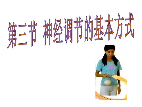 神经调节的基本方式-人教版七年级下册生物课件
