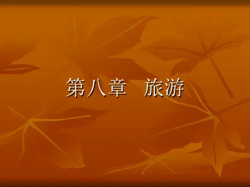 旅游学概论 第八章旅游体验