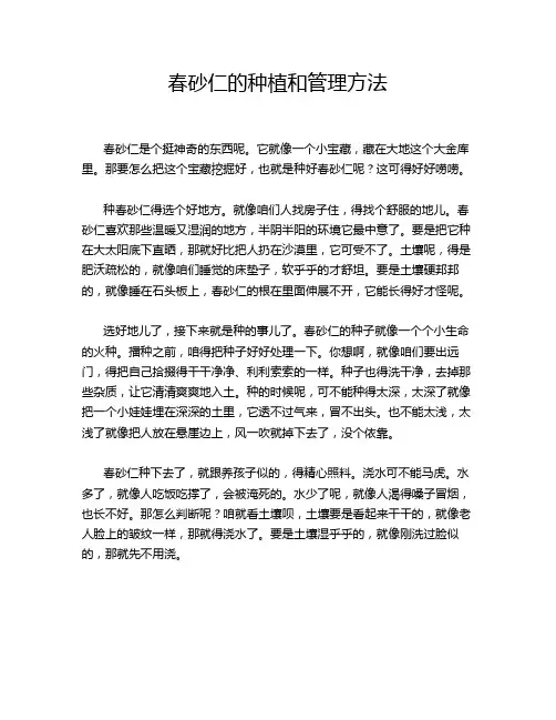 春砂仁的种植和管理方法