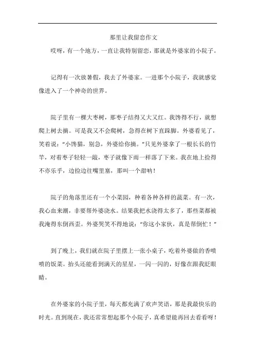 那里让我留恋作文