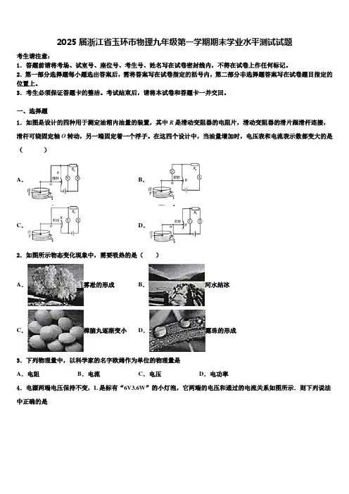 2025届浙江省玉环市物理九年级第一学期期末学业水平测试试题含解析