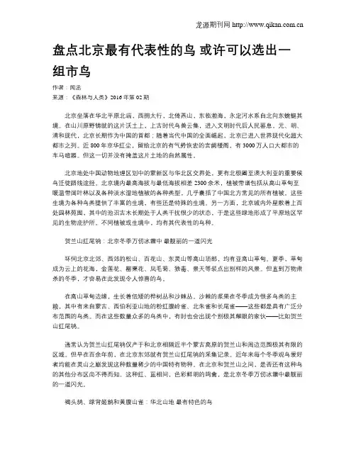 盘点北京最有代表性的鸟 或许可以选出一组市鸟