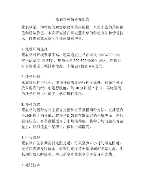 薰衣草种植研究报告