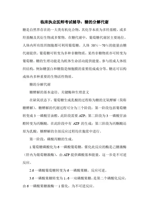 临床执业医师考试辅导：糖的分解代谢