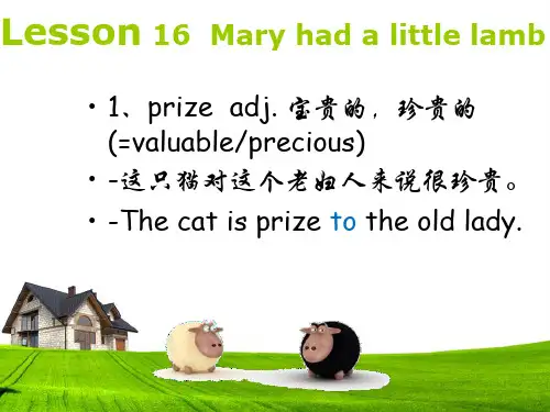新概念英语第三册 Lesson 16 课件 