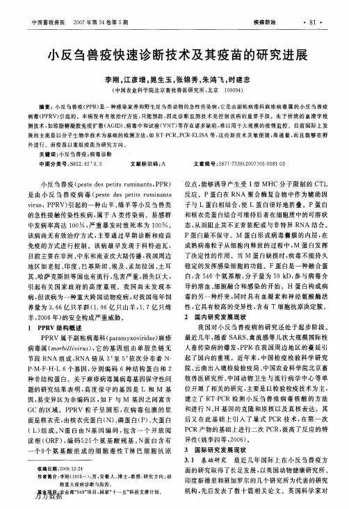 小反刍兽疫快速诊断技术及其疫苗的研究进展