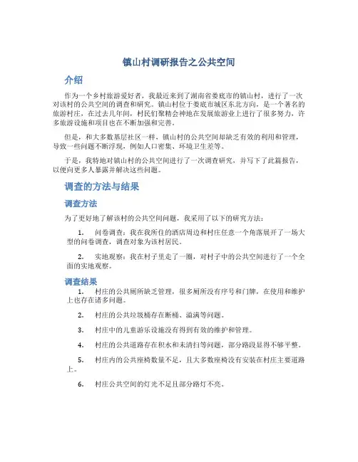 镇山村调研报告之公共空间