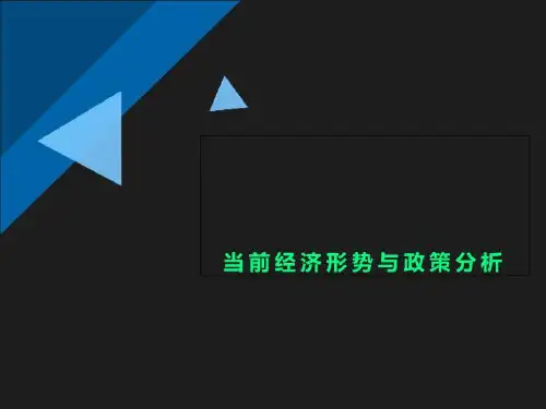 当前经济形势与政策分析