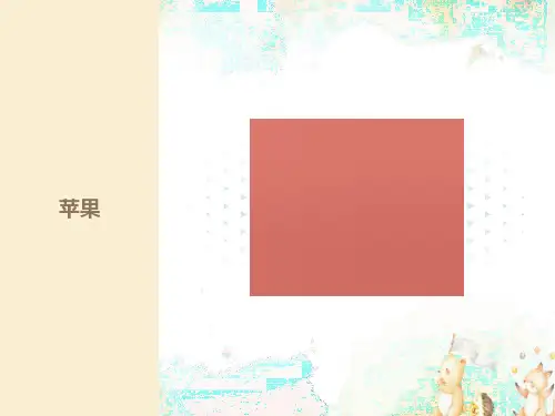 水果名称图片收集