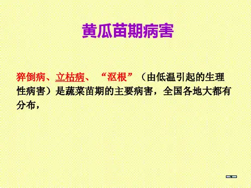 黄瓜病虫害防治课件.ppt