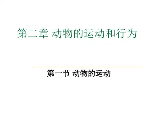 动物的运动课件.ppt