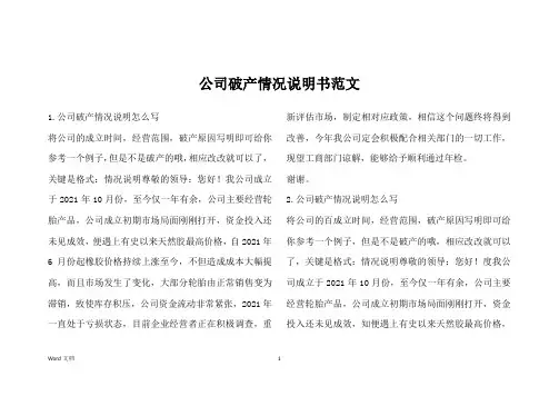 公司破产情况说明书范文