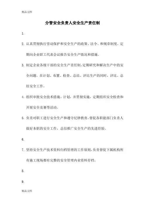 分管安全负责人安全生产职责培训讲学