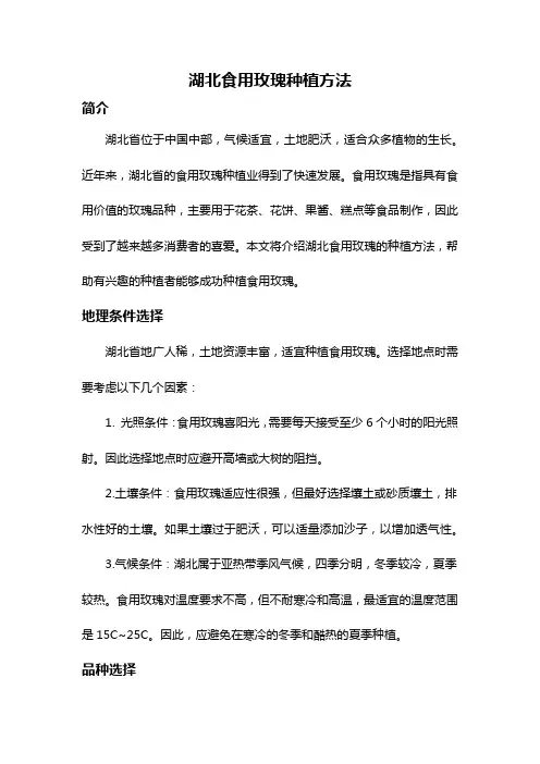 湖北食用玫瑰种植方法