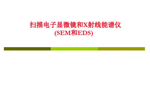 SEM和EDS