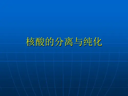 核酸的分离与纯化