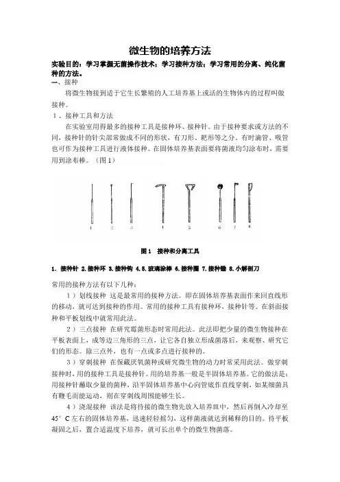 微生物的接种分离纯化与培养方法