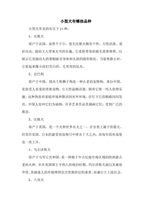 小型犬有哪些品种