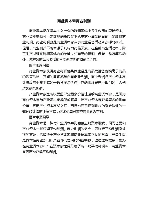 商业资本和商业利润