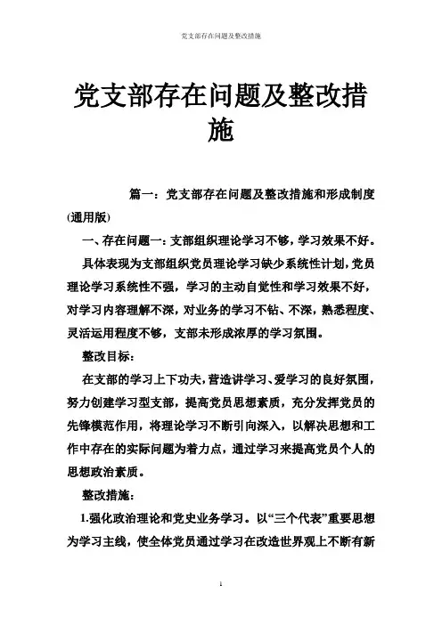 党支部存在问题及整改措施