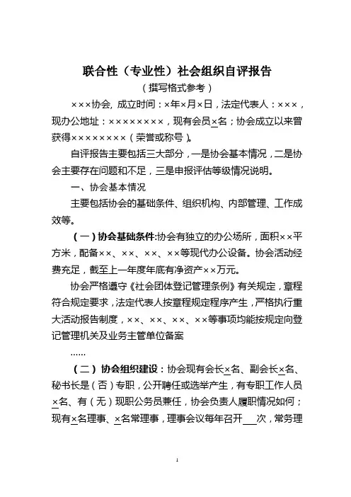 联合性专业性社会组织自评报告