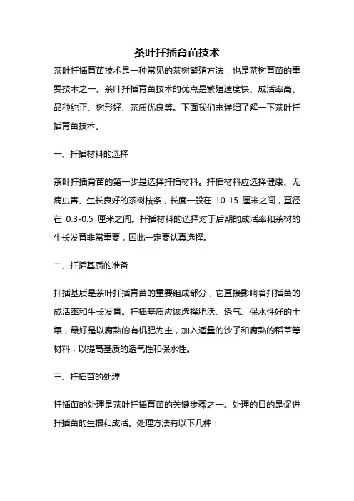 茶叶扦插育苗技术