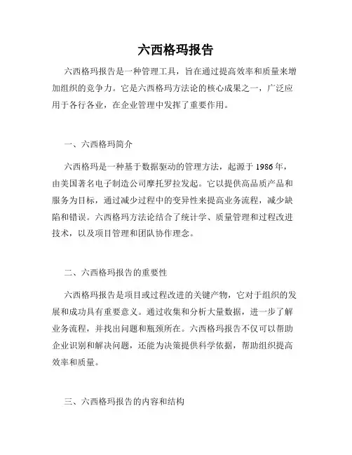 六西格玛报告