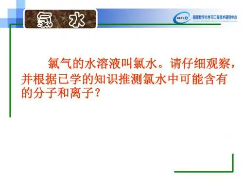 氯水的性质和氯离子的检验_活动探究_PPT1