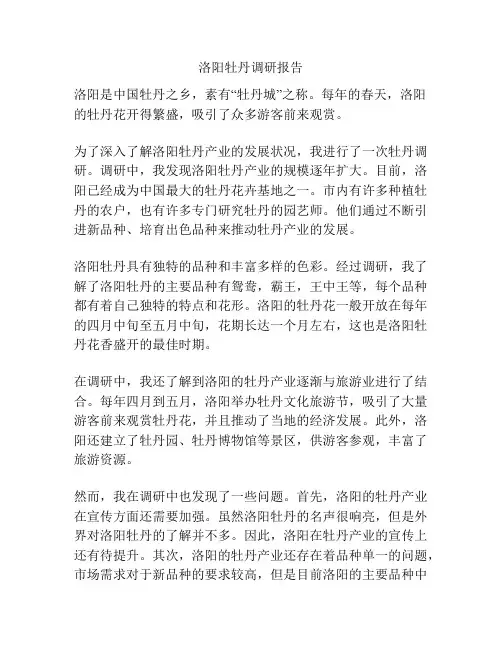 洛阳牡丹调研报告