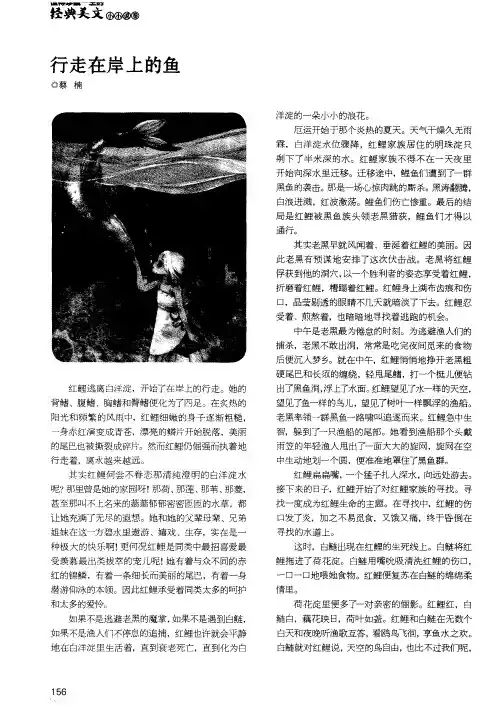 行走在岸上的鱼