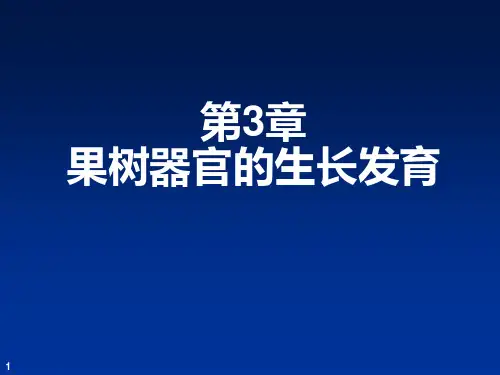 果树器官的生长发育资料讲解