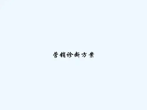 营销诊断方案 PPT