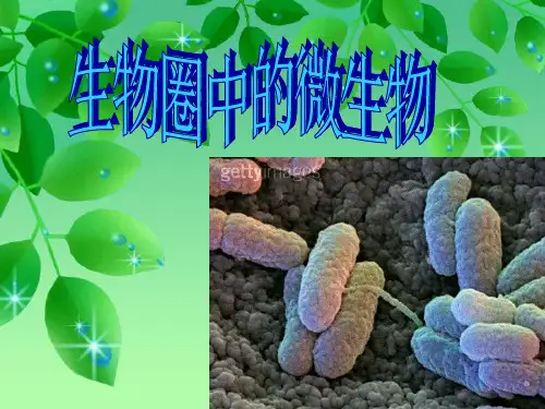 七年级生物生物圈中的微生物(病毒、细菌、真菌)课件