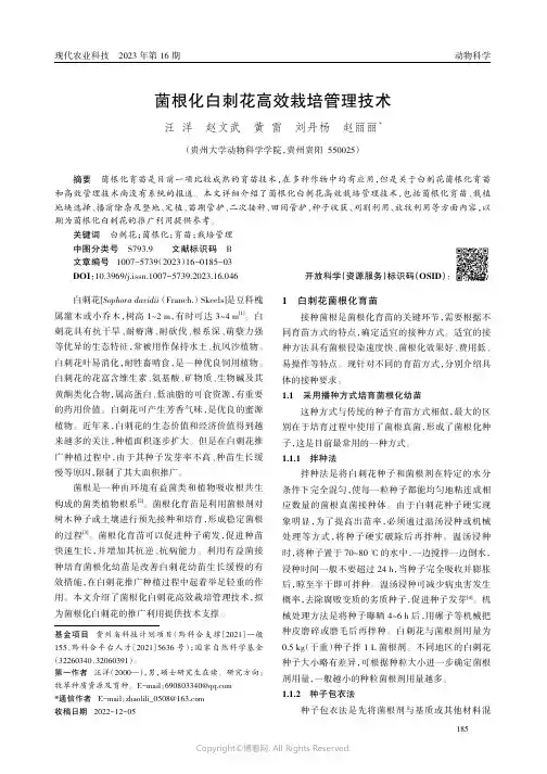菌根化白刺花高效栽培管理技术