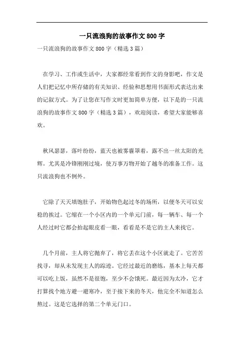 一只流浪狗的故事作文800字