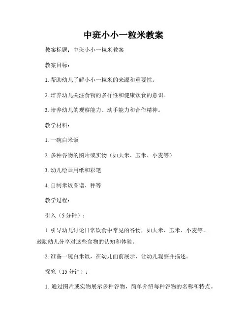 中班小小一粒米教案