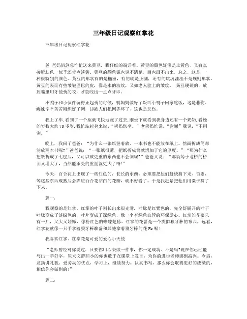 三年级日记观察红掌花