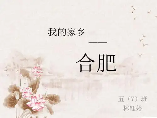 我的家乡——合肥 